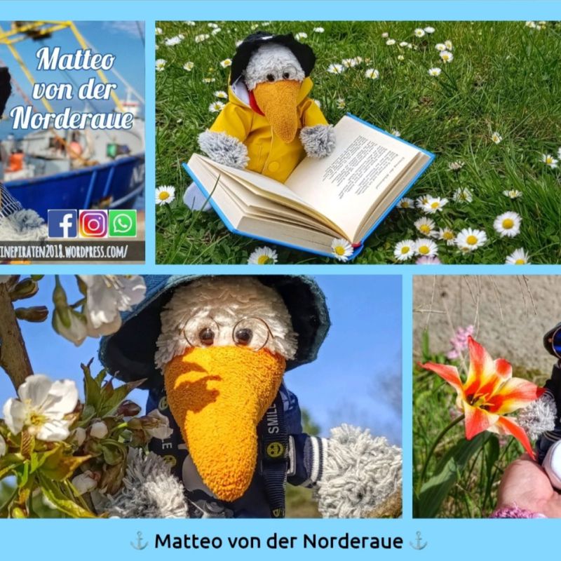 Postkarte – #24
