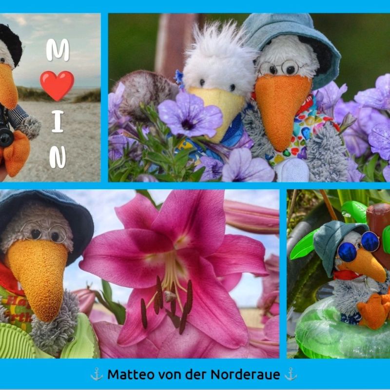 Postkarte – #25