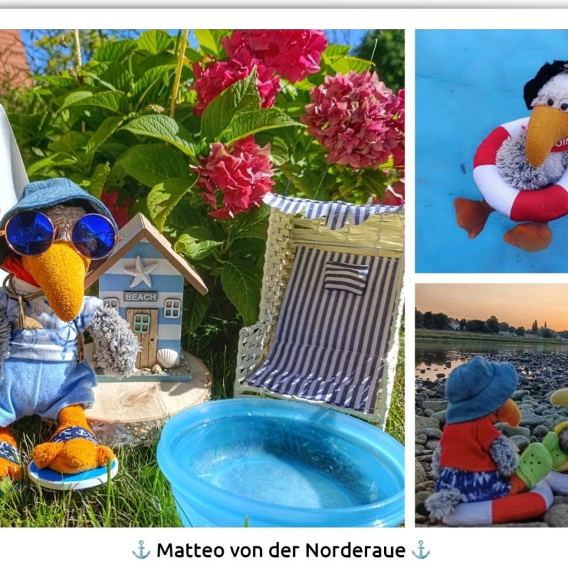 Postkarte – #26