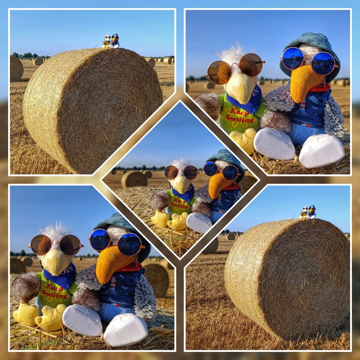 StrohballenShooting