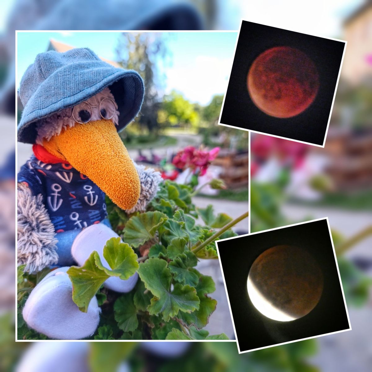 Blutmond & Mondfinsternis