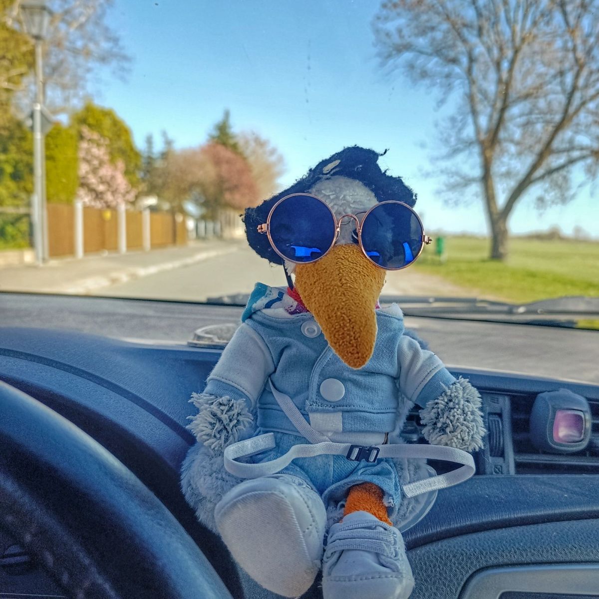 Autositz testen