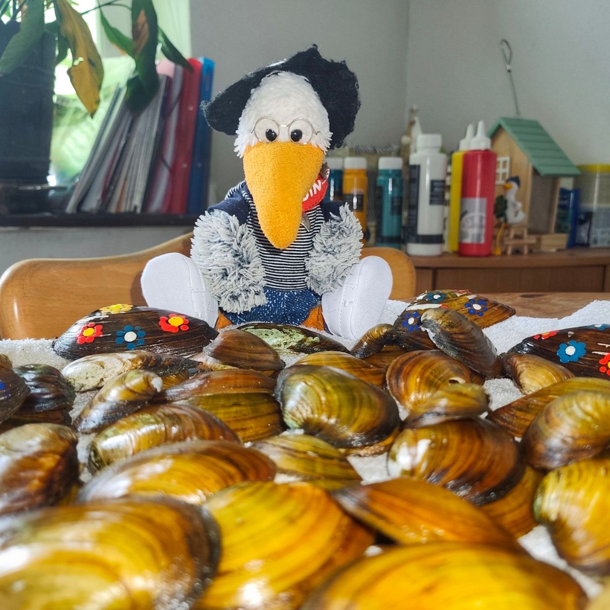Noch mehr Muscheln
