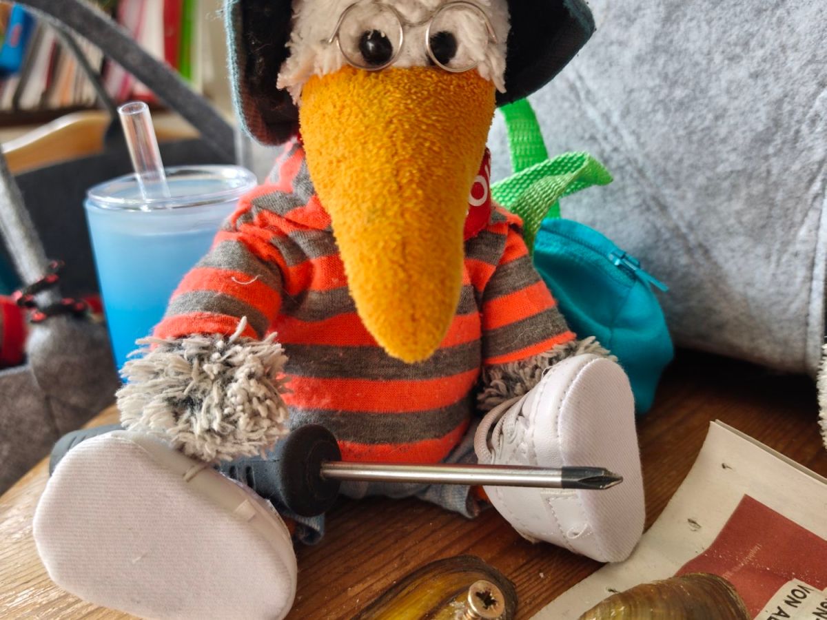 Muscheln bohren